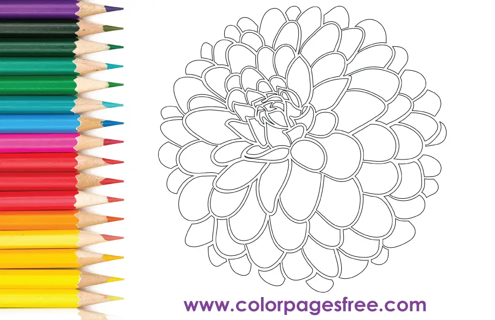 Flower Coloring Page 76